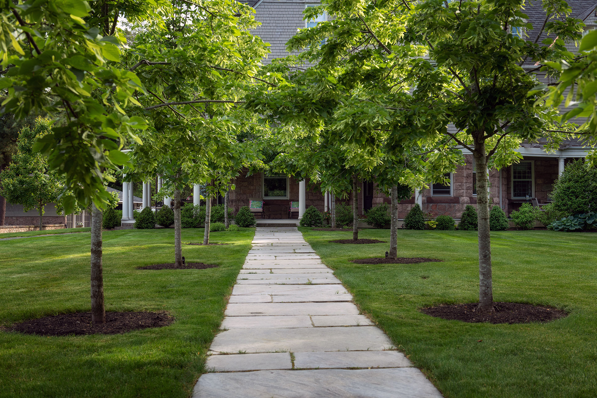 Irregular stone walkway moves through layered planting, softening circulation and blending seamlessly into a relaxed residential garden setting.