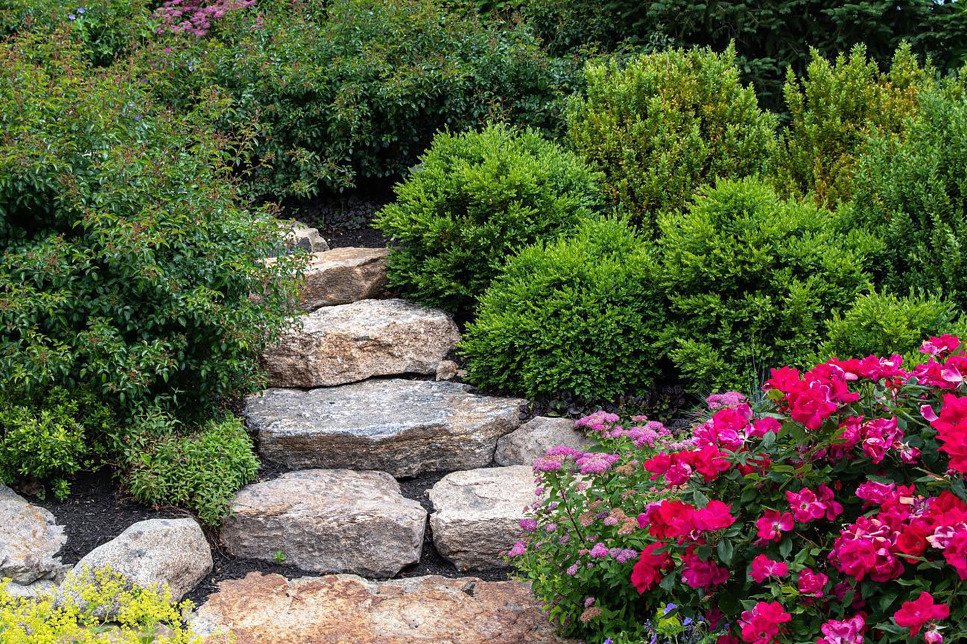 Natural ledgestone steps manage elevation change on a hillside, creating safe, organic movement through layered planting.