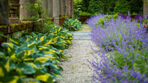 Gravel garden path bordered by hosta offers a soft, shaded route that supports drainage while enhancing a classic estate landscape.