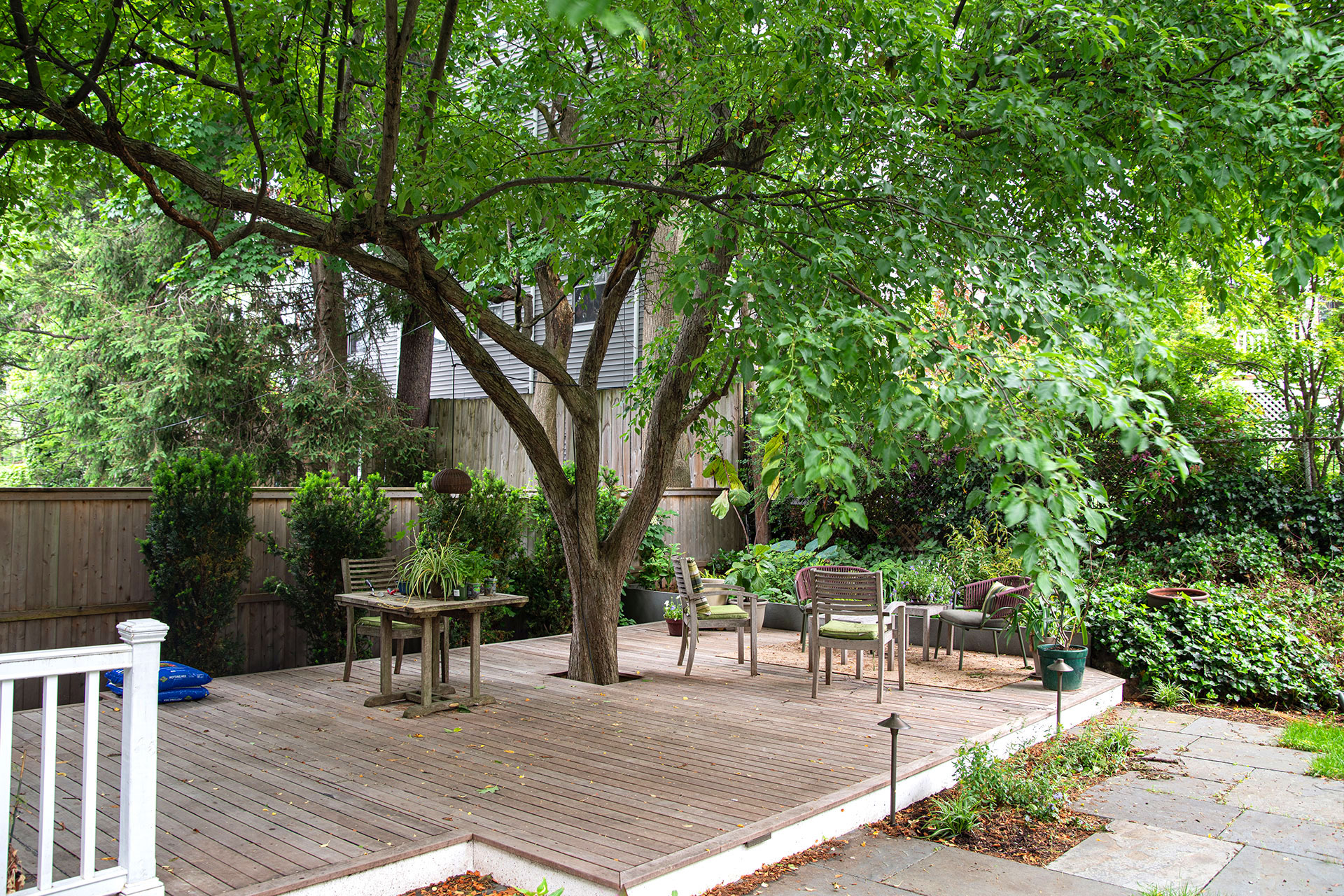 Compact wood deck terrace shaded by a tree provides a tranquil backyard nook with warm natural materials and relaxed outdoor seating.