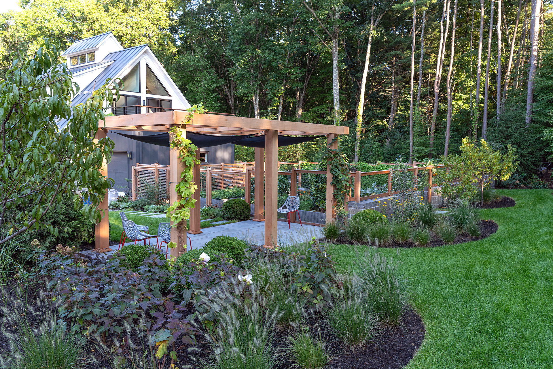 Modern cedar pergola introduces clean lines and shade, complementing contemporary architecture and open backyard layouts.