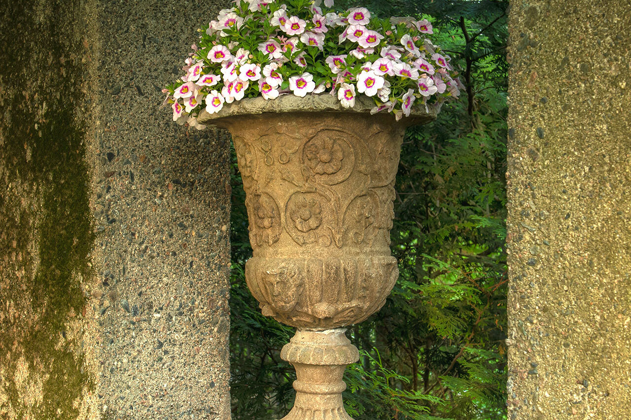 A carved stone urn tucked into a shaded garden niche holds petunias, introducing seasonal color in low-light areas with easy upkeep.
