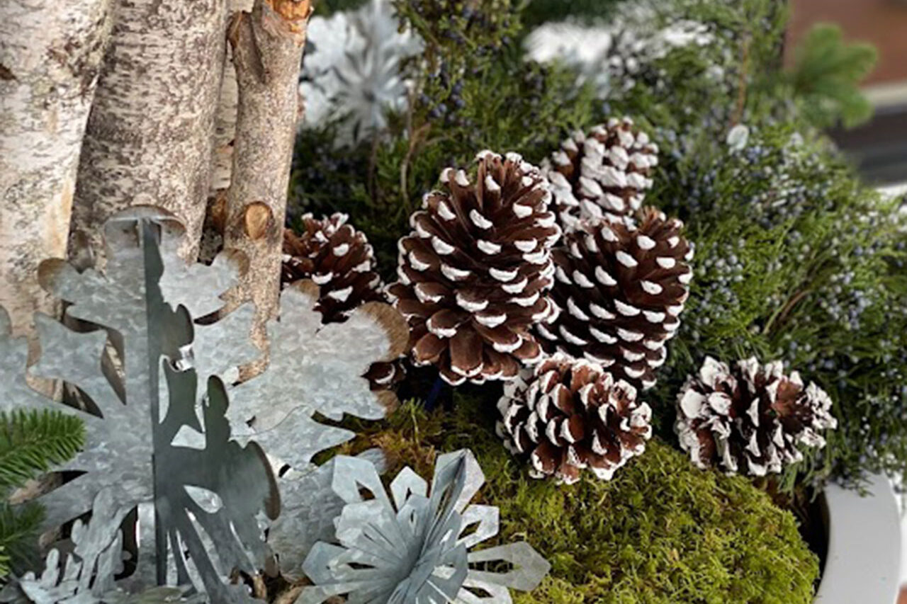 A cast concrete bowl planted with geraniums delivers bold summer color on a patio using a simple, mass-planting approach.