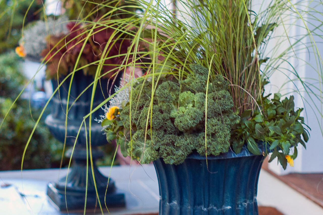 A classic urn on a pedestal holds ornamental grass, adding height and movement as a low-maintenance seasonal entry accent.