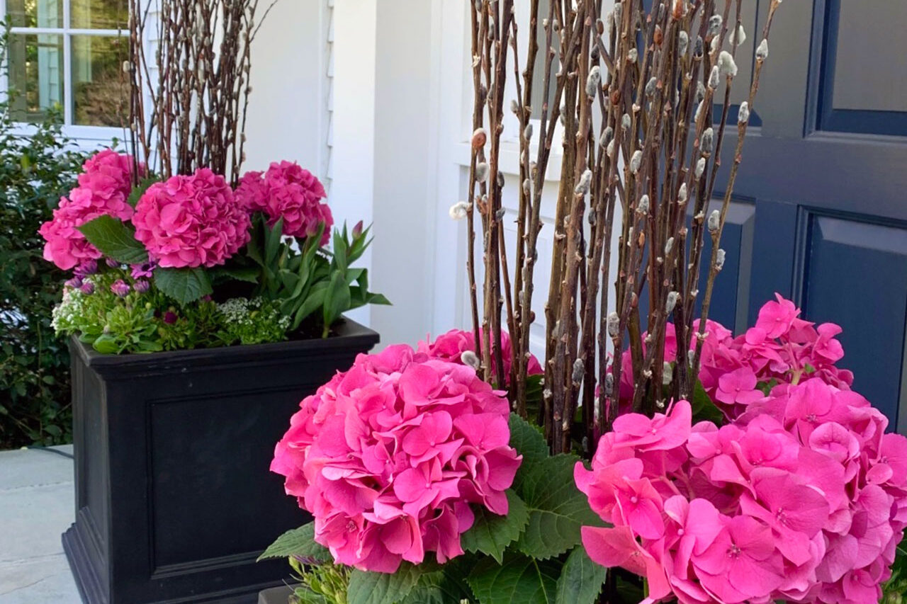 Rectangular box planters line a spring entry with hydrangea and pussy willow, emphasizing the approach while simplifying seasonal refreshes.