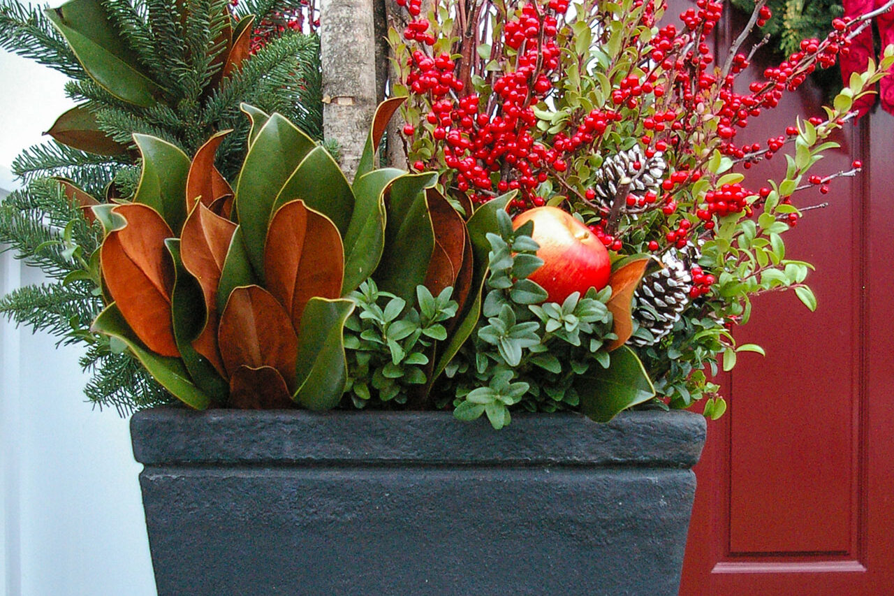 A modern square planter supports a winter mix of evergreen, berries, and magnolia, keeping the display structured and easy to maintain.