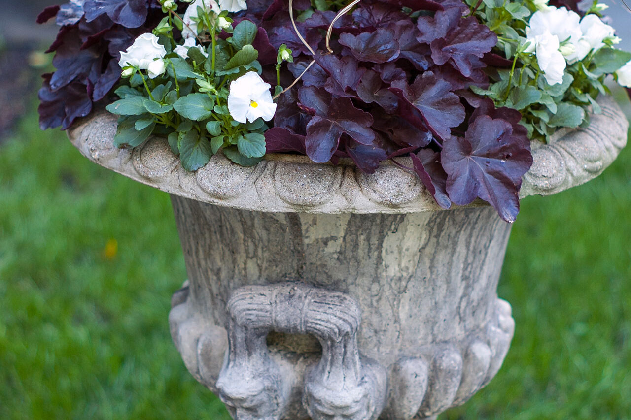 An autumn planting of heuchera and pansies fills a stone urn, emphasizing foliage color and texture while extending seasonal interest into cooler weather.