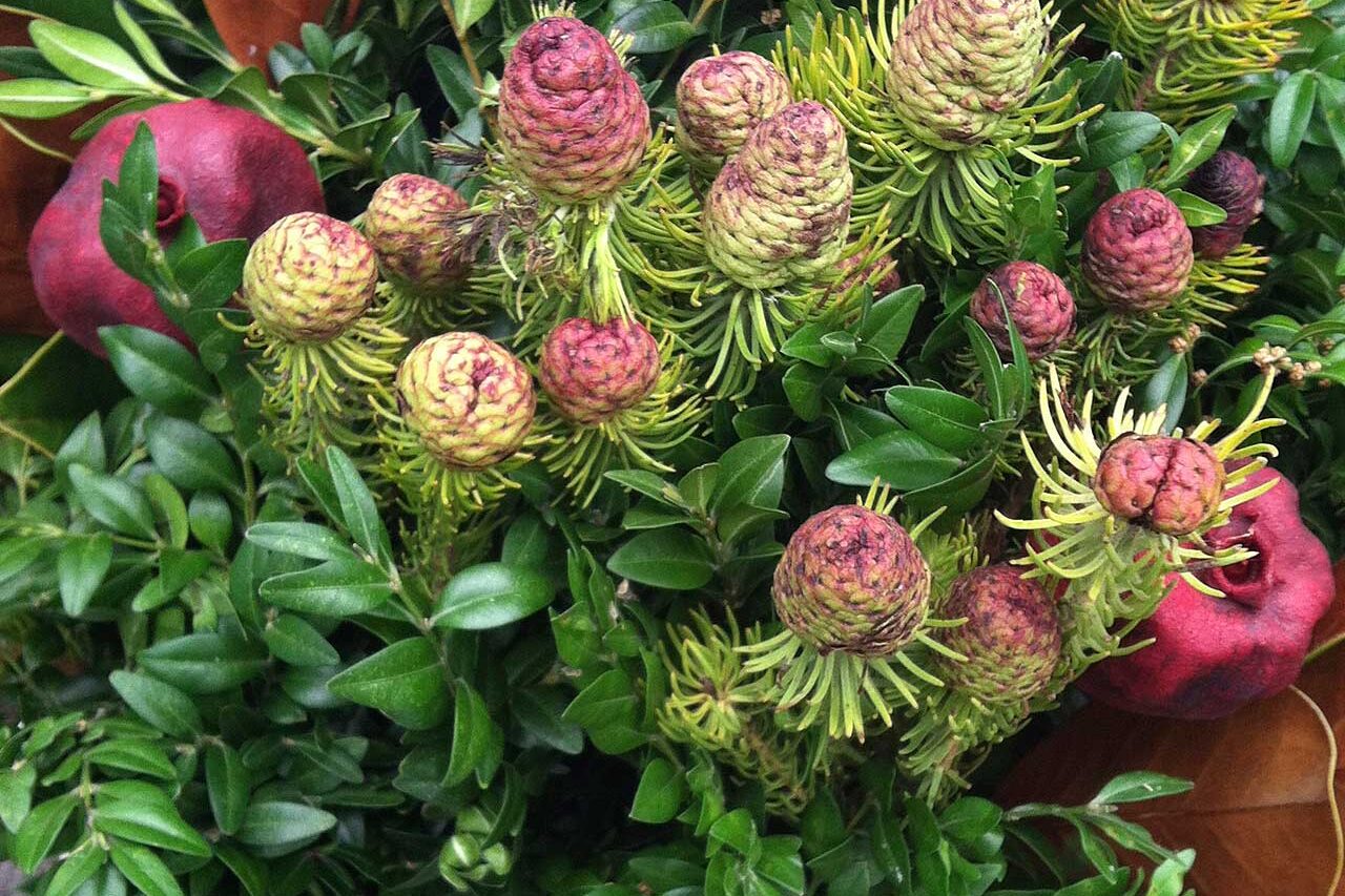 A stone urn filled with magnolia leaves and cones creates a refined winter display using natural materials that provide lasting texture with little maintenance.