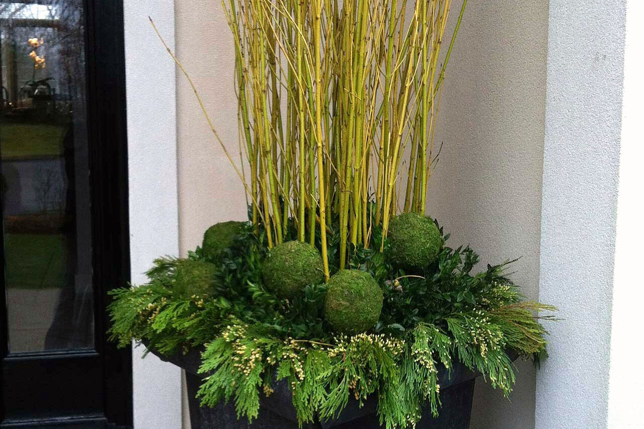 A tall black entry planter holds evergreen boughs and yellow twig dogwood, providing strong winter structure with minimal upkeep.