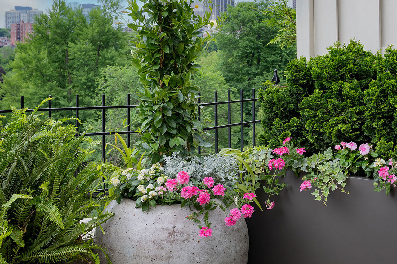 A variety of concrete planters define a modern terrace with mixed perennials, adding height and structure while supporting long-term use and seasonal flexibility.