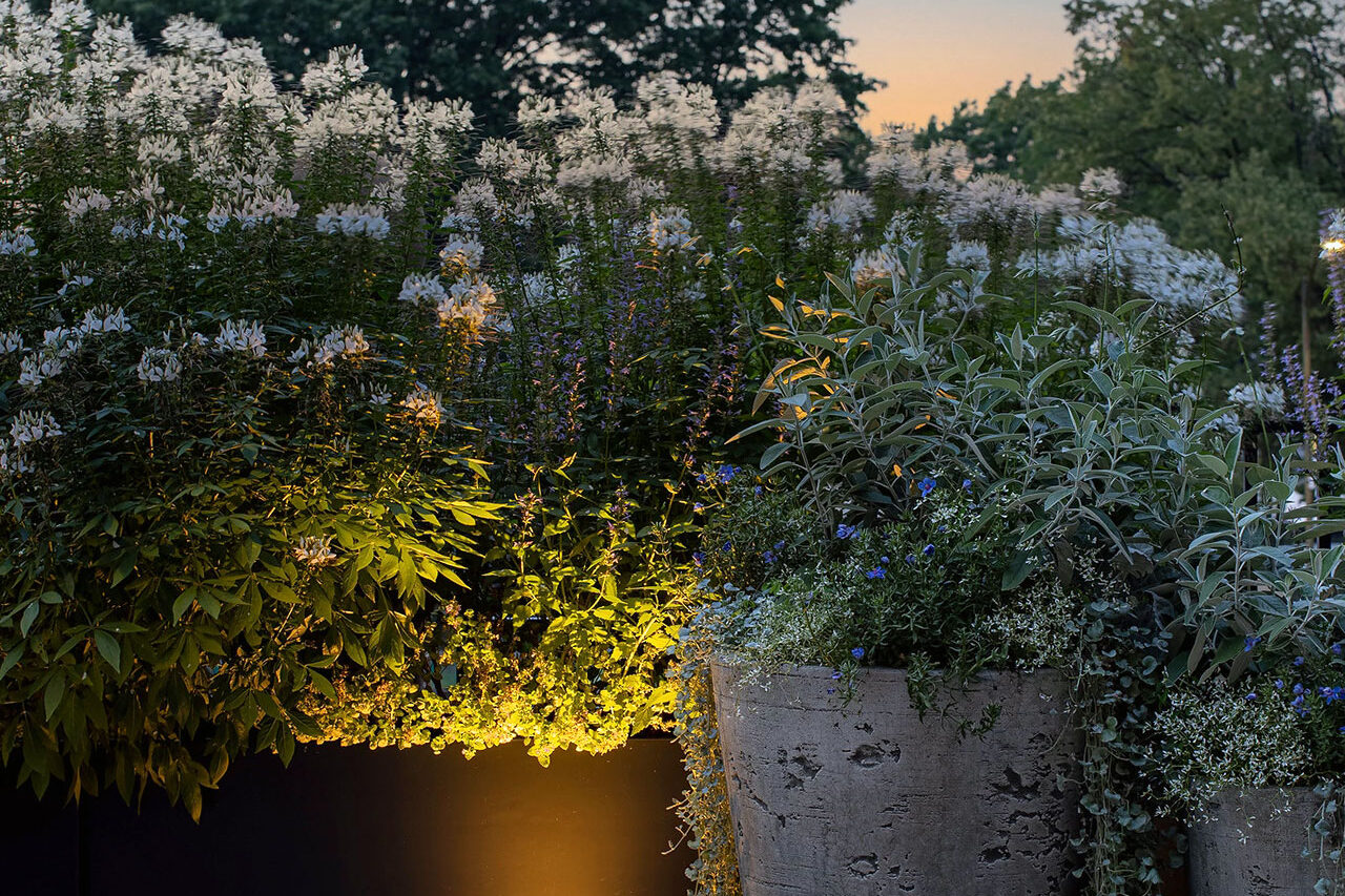 Patio urns feature a clean, textural arrangement of plantings and natural accents, creating a sculptural composition that reads well during the day and becomes especially effective in the evening when enhanced by landscape lighting.