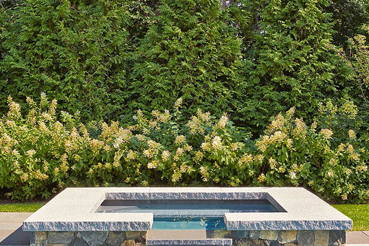 A raised stone spa spills gently into the main pool, creating movement and sound while natural screening enhances privacy in this layered landscape design in Wellesley.