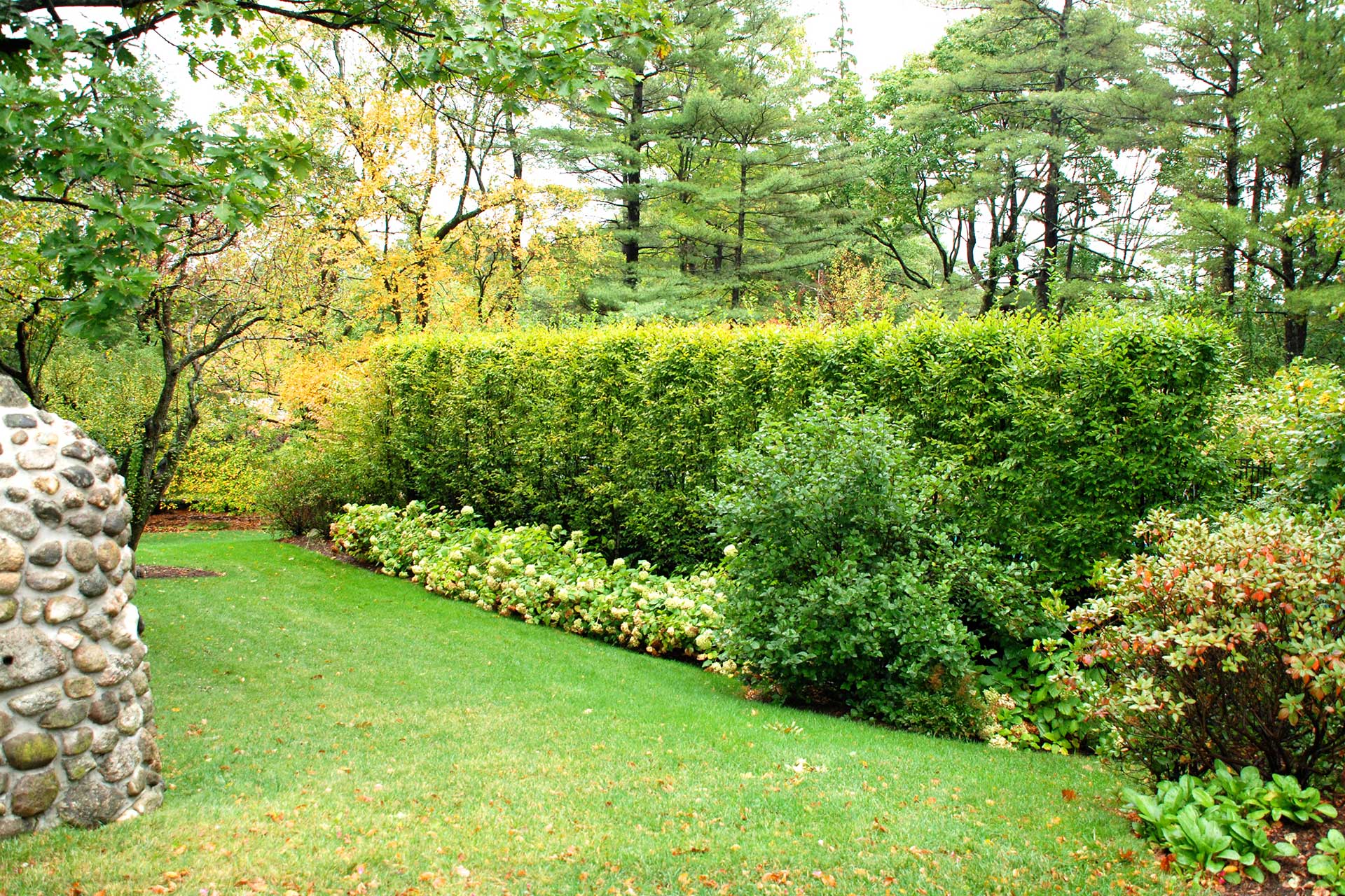 A long, continuous hedge creates consistent screening along the property edge, reducing exposure to adjacent homes.