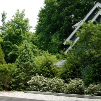 Layered shrubs and fencing reduce unwanted sightlines, helping define outdoor space while maintaining a natural residential feel.