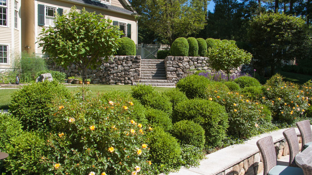 Formal boxwood hedges flank stone steps in this front garden, reinforcing symmetry, guiding circulation, and adding evergreen structure to the entry sequence.