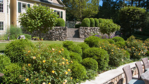 Formal boxwood hedges flank stone steps in this front garden, reinforcing symmetry, guiding circulation, and adding evergreen structure to the entry sequence.