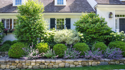A mixed shrub border softens this stone retaining wall, combining evergreen structure and layered textures to define the front yard while improving drainage and visual depth.