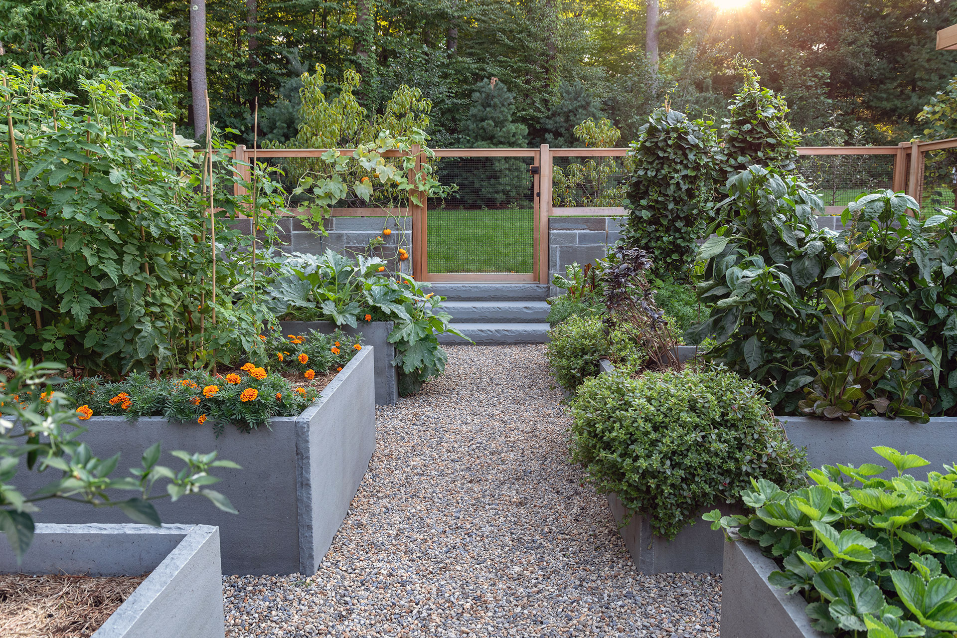 Concrete raised beds offer clean lines, consistent soil depth, and durability for modern vegetable garden designs.