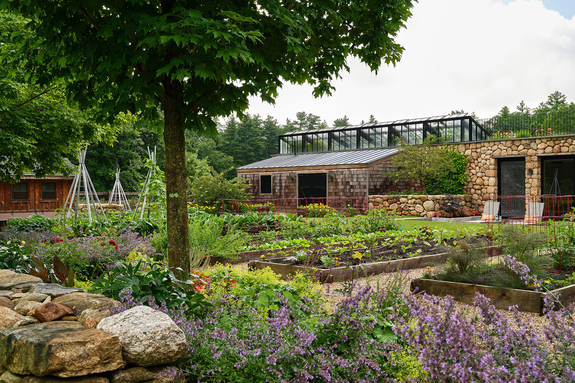 Raised vegetable beds near a greenhouse create a productive kitchen garden that supports New England’s growing season while fitting naturally into the surrounding landscape.