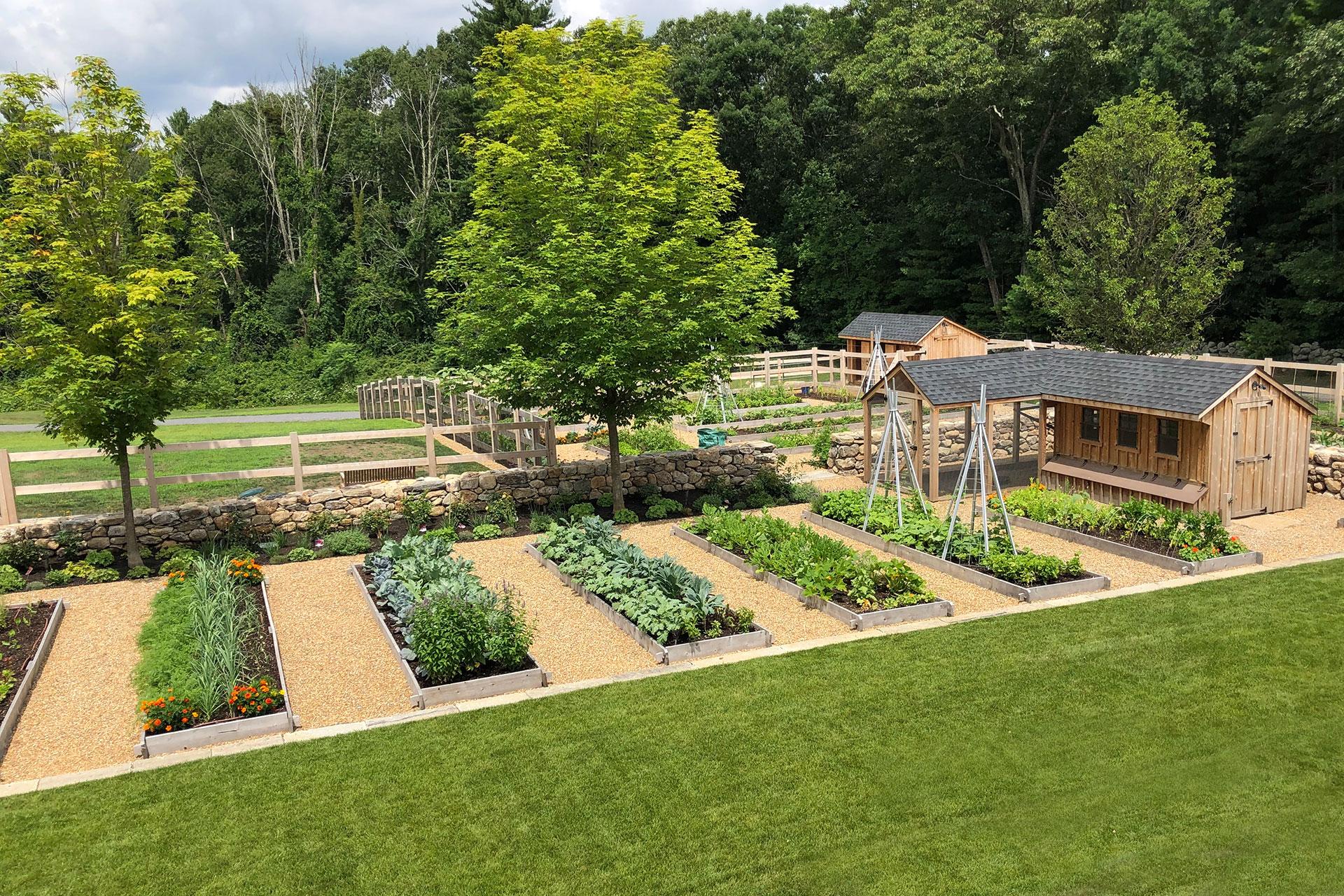 Raised planting boxes arranged along a gravel path create an efficient kitchen garden layout with improved drainage and durability for Boston area growing conditions.