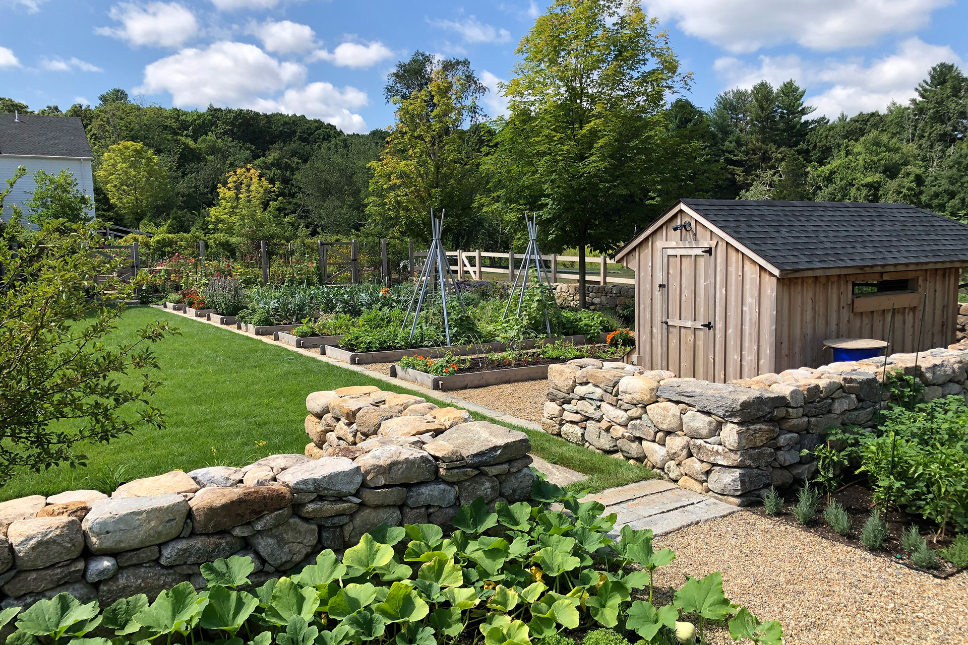 Stone walls and raised beds near a garden shed improve drainage and soil warmth, supporting vegetable growth in Boston-area conditions.