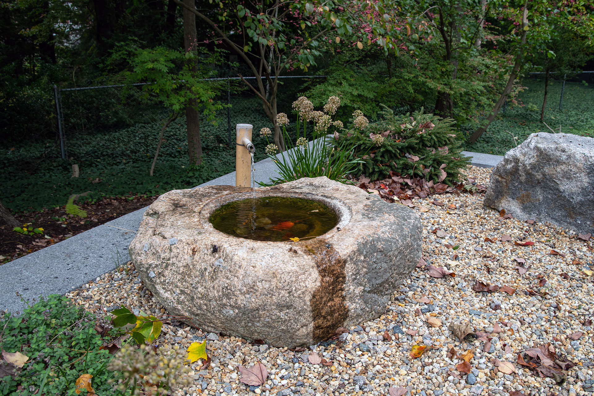 A carved granite bird bath fountain provides subtle water sound while supporting birds and wildlife, adding charm and ecological value to the garden.