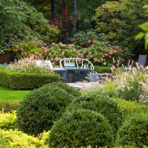 Weston, patio with boxwoods and ornamental grasses, landscape design