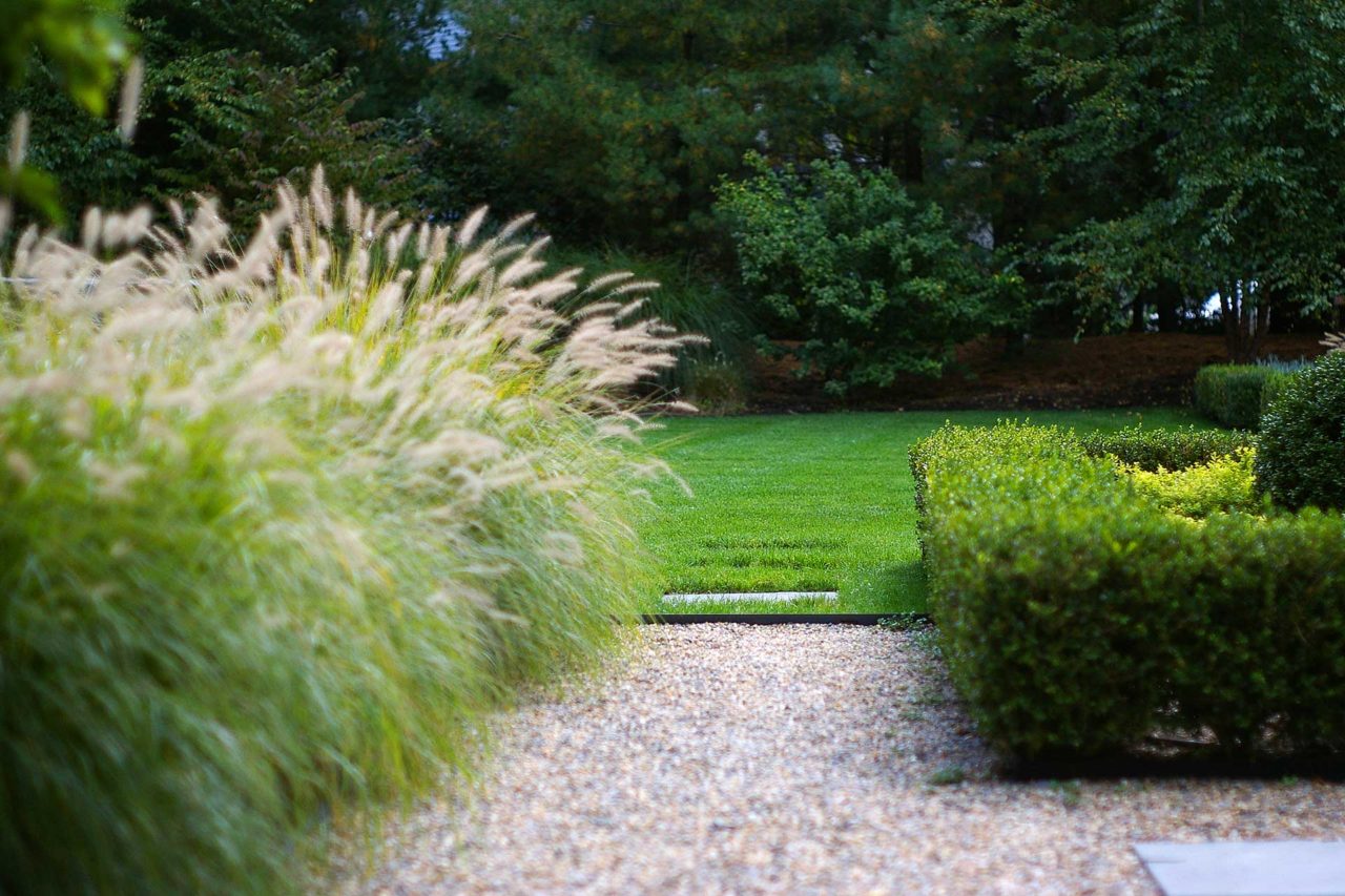 Weston, MA - Plumes of ornamental grasses and boxwood hedges soften this stone path and lead the way to a spacious lawn area.