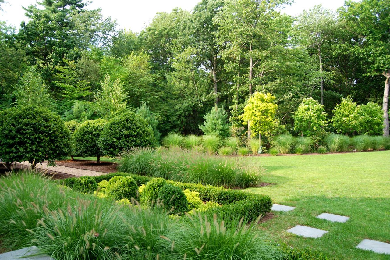 Weston, MA - Dwarf birch trees line a stone path, and ornamental grasses and boxwood help to define planting areas.