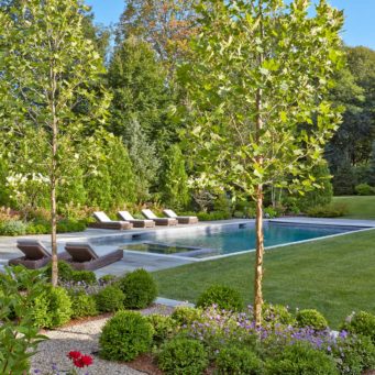 Weston, relaxing pool with lawn and young trees, landscape design