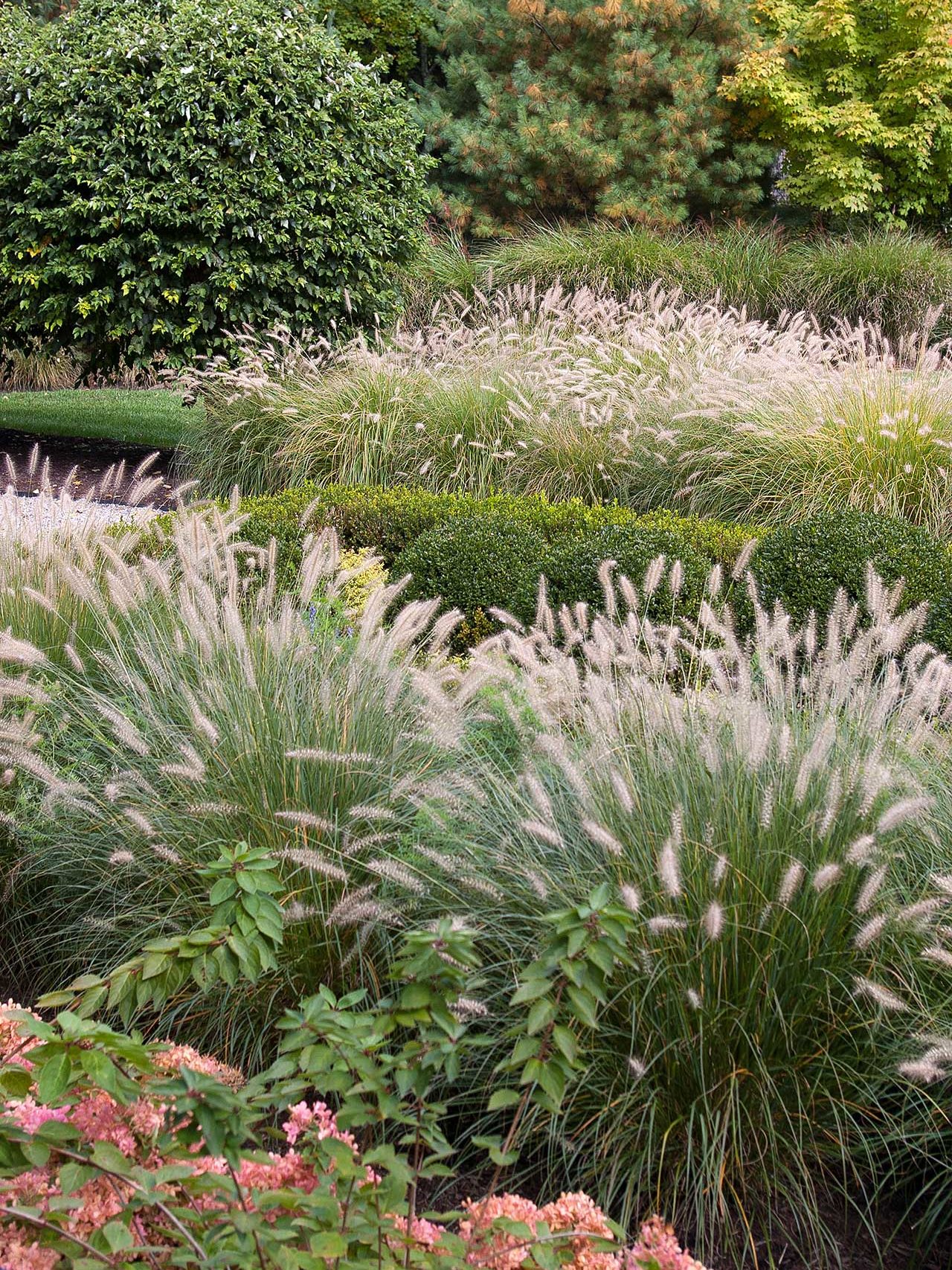 Weston, MA - ornamental grasses and formal garden