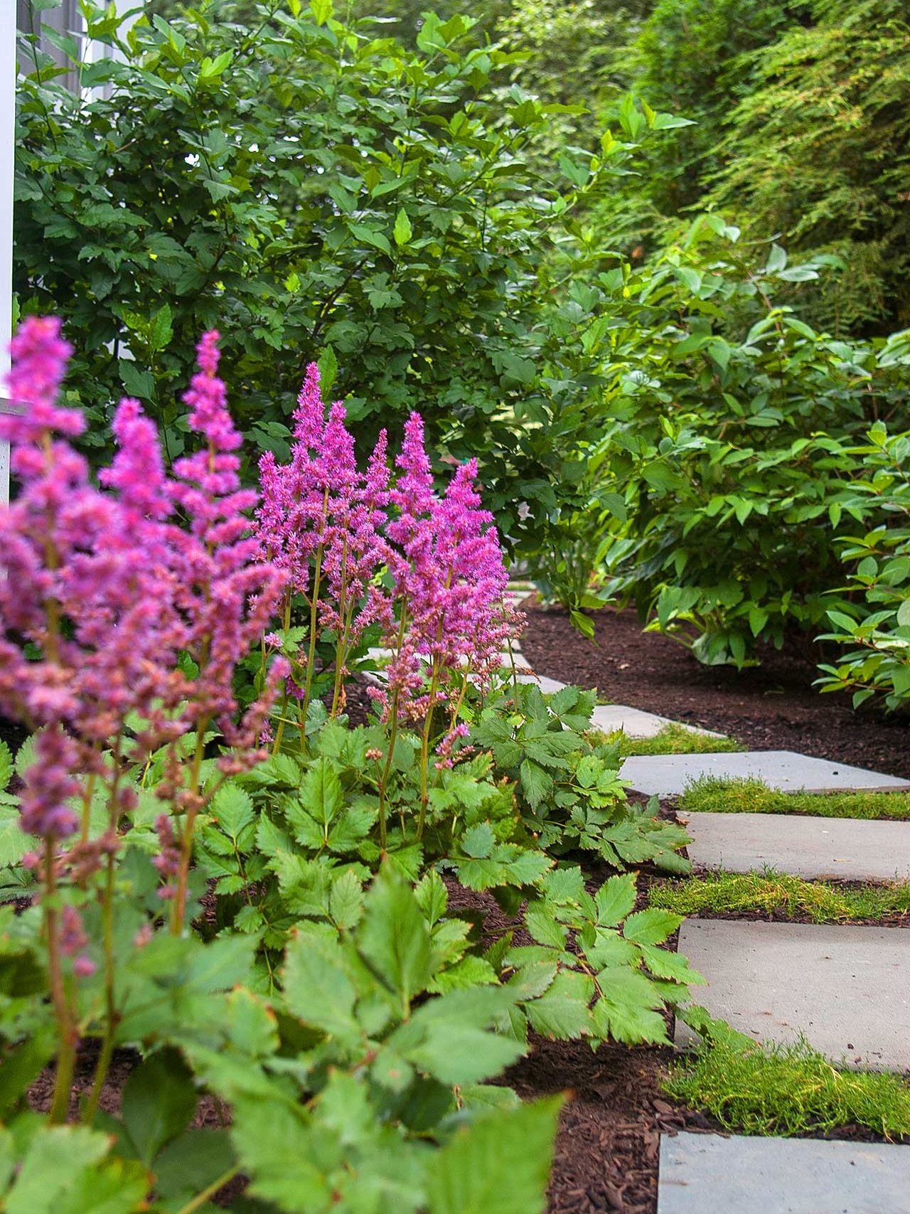 Wellesley, MA - stone path and garden