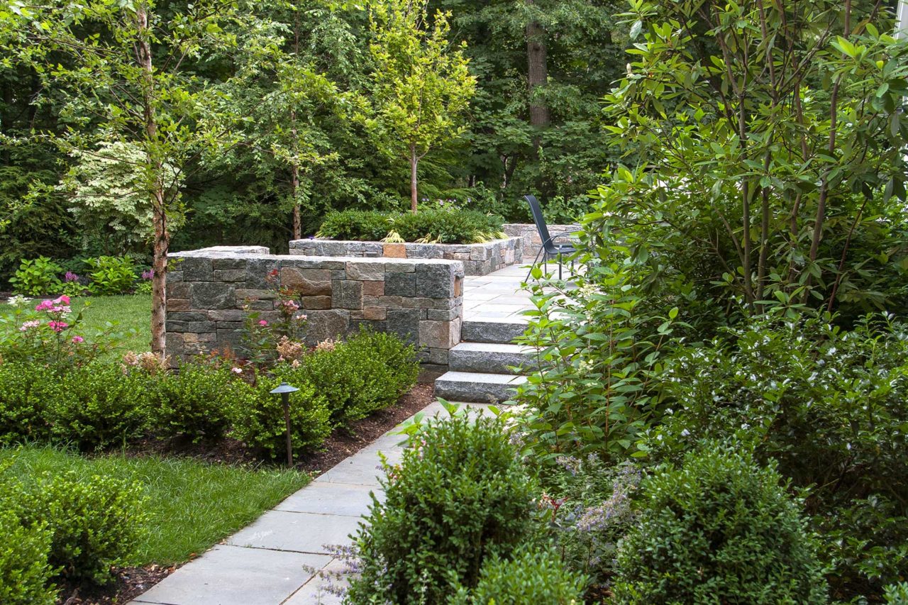 Wellesley, MA - Lushly planted beds of boxwood, holly, magnolia, and birch.