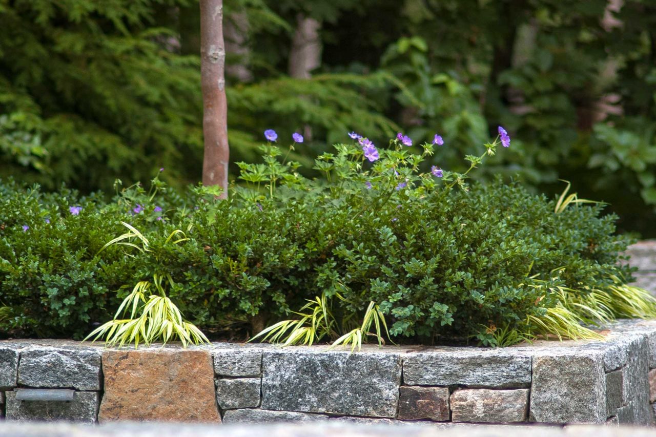 Wellesley, MA - Finely crafted Corinthian granite walls double as planting space.